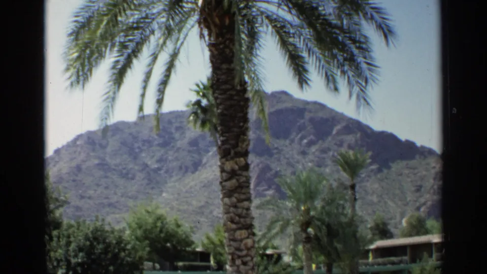 1968 Scottsdale home-movie view of a palm tree, landscaped greenery, and rugged desert mountains beneath a clear sky.