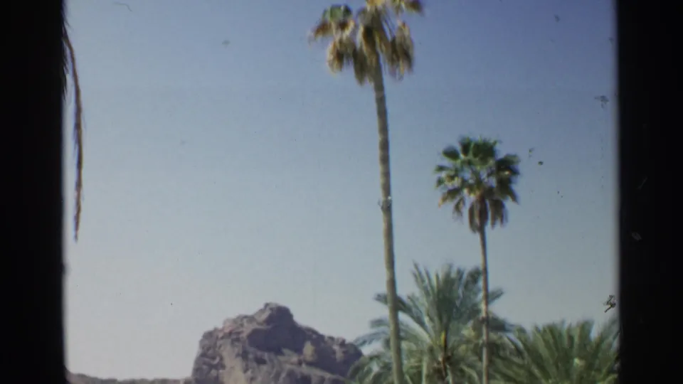 Scottsdale, Arizona view with a rocky butte partly framed by tall palms and dark 8mm contact-frame edges.