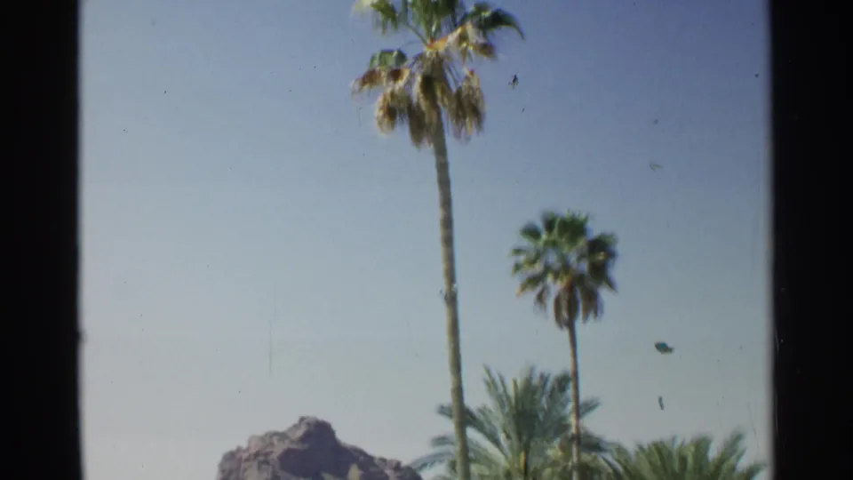 1968 Scottsdale frame showing tall palms, a rocky butte, desert plantings, and soft 8mm home-movie color.