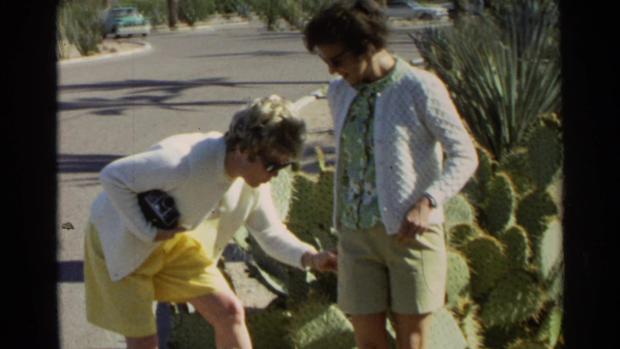 Two women stand beside cactus as one bends toward spines on her yellow shorts.