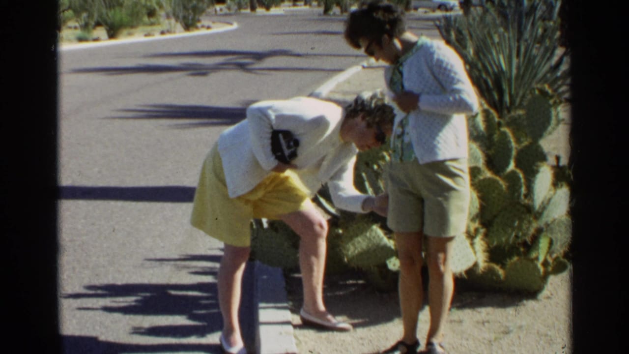 In 1968 Scottsdale home-movie footage, a woman in a yellow skirt bends near prickly pear cactus while another woman stands beside her.