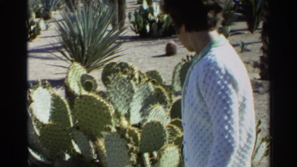 A woman in a light sweater stands at the edge of a cactus bed with yucca and prickly pear plants in 1968 Scottsdale footage.