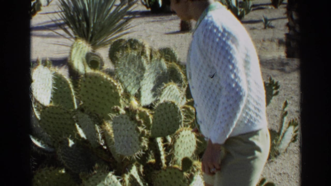 Woman in white sweater standing beside prickly pear cactus in a sunny desert garden.