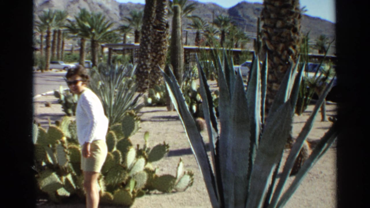 Woman walking beside cactus and agave plantings with palms and mountains behind her.