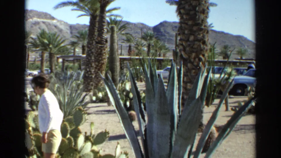 1968 Scottsdale frame showing a woman in profile among desert garden plantings, with palms, parked cars, and mountains in the background.