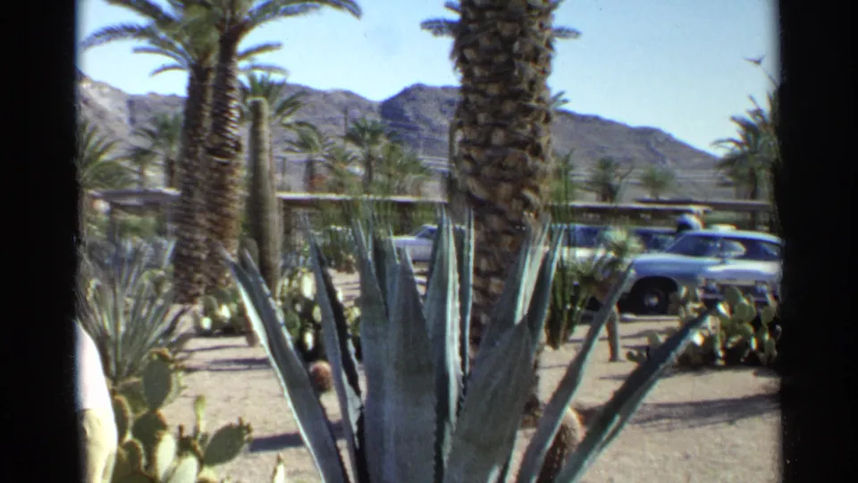 1968 Scottsdale home-movie frame with desert garden plantings, tall palms, parked cars, mountains, and a woman partly leaving the frame.