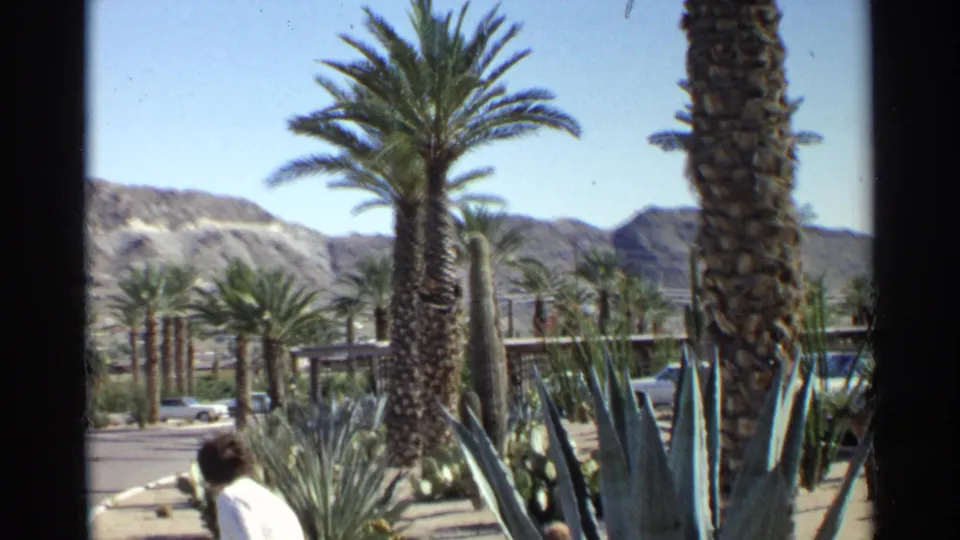 1968 Scottsdale frame of a woman moving low near cactus and agave plantings, with palm trees, parked cars, and mountains behind her.