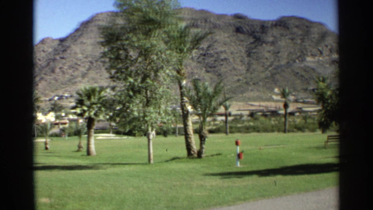 Green lawn with palms, trees, distant buildings, and rocky mountain behind dark vertical framing.