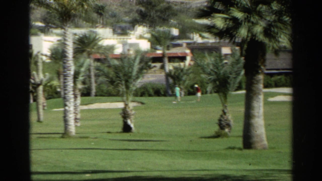 Palm-lined golf fairway with distant golfers and desert buildings beyond the grass.