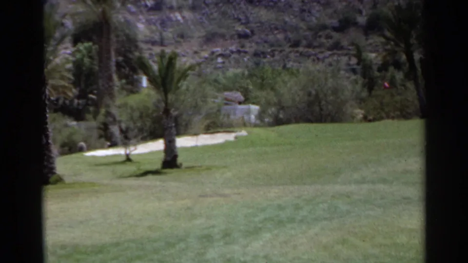 Scottsdale golf course landscape with manicured grass, palm trees, pale path, shrubs, and rocky hillside.