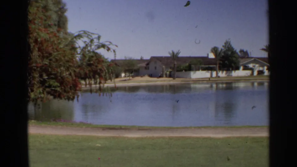 1968 Scottsdale pond scene with a grassy foreground, shoreline path, trees, palm trees, and low homes reflected across the water.