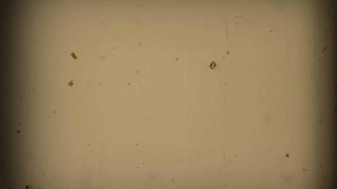Blank or overexposed film area with dust specks and dark edge vignetting.