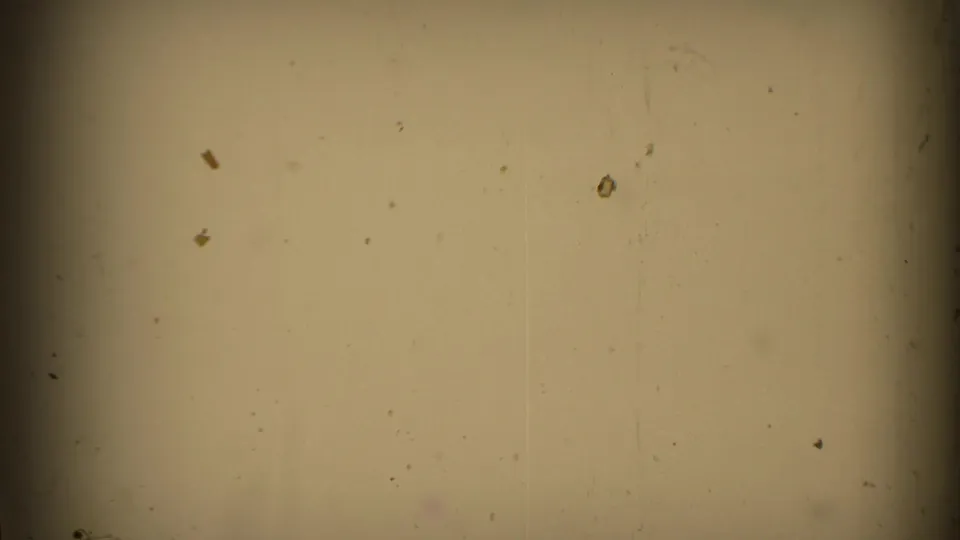 A mostly blank 8mm frame with tan exposure, dust marks and darkened film edges between train shots.