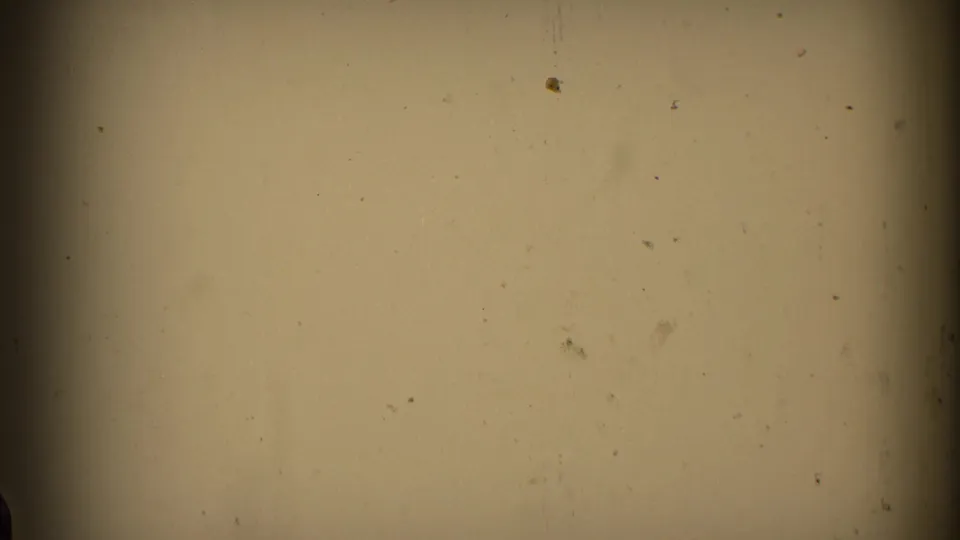 Mostly blank 8mm frame from the 1976 Chicago clip, showing dust, faint scratches and exposure falloff rather than a clear subject.