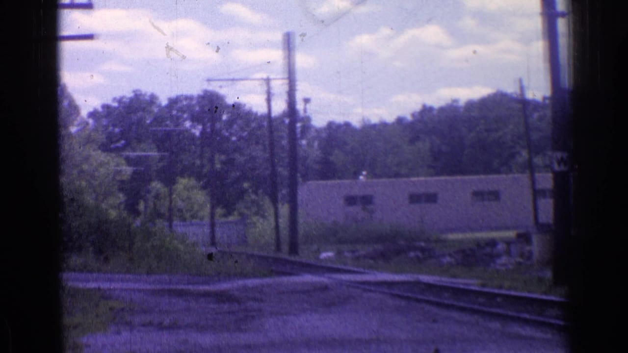 Curving railway tracks bordered by utility poles, trees, brush, and a low building.