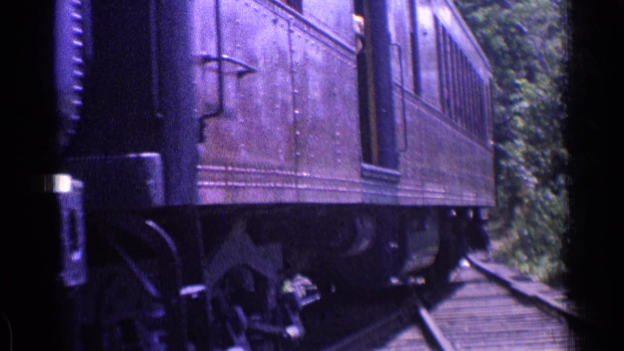 Dark rail car passing close beside tracks with trees in the background.