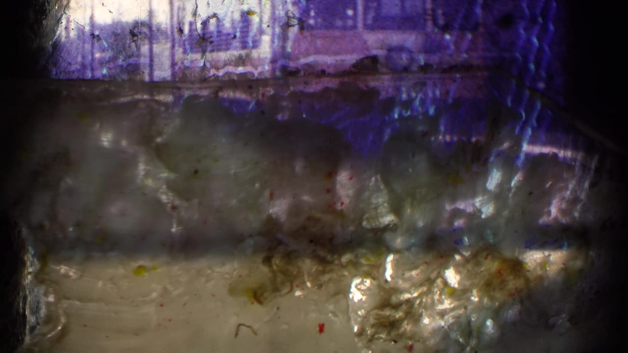 Close view of deteriorated 8mm film with dark edges, purple staining, dust, and cloudy emulsion.
