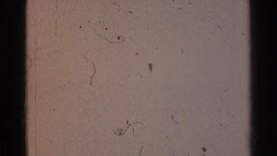 Pale 8mm frame surface from the 1976 Chicago home-movie source, showing dust, hairline marks, and edge shadowing.