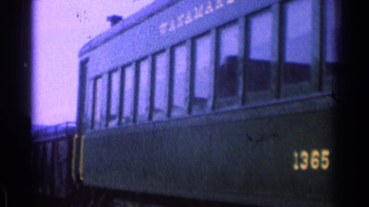 Green passenger rail car with number 1365 beside dark frame edges.
