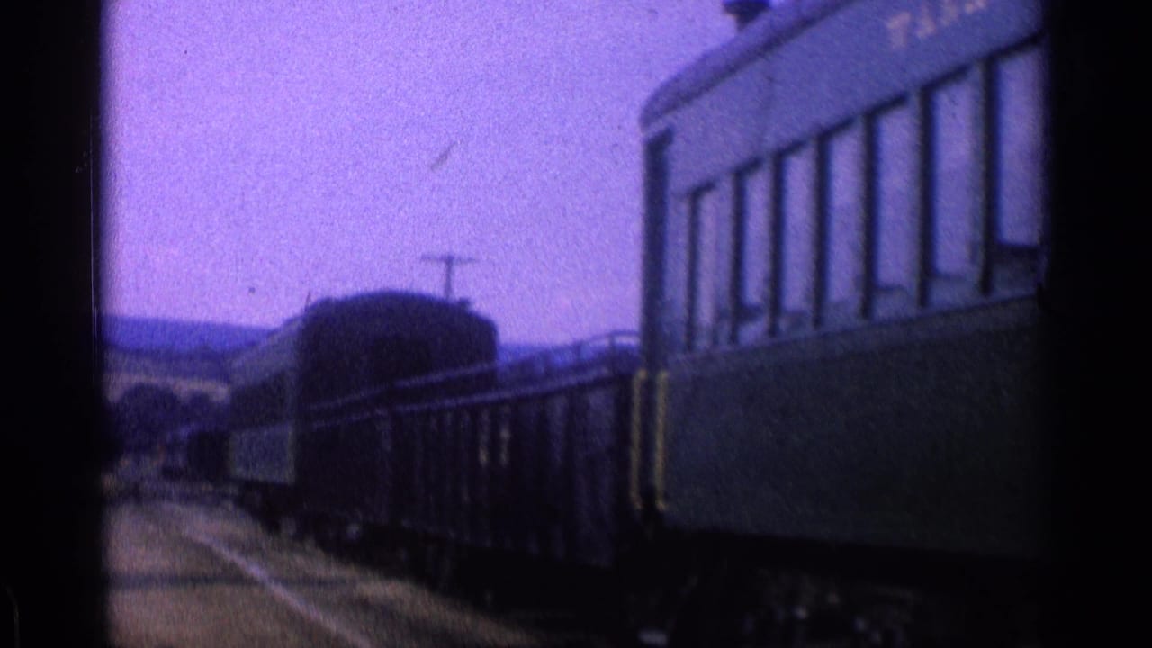 Passenger cars lined along tracks at a small station platform.