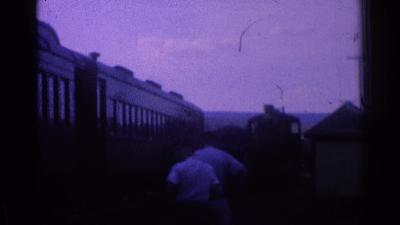 Dark train cars beside a track with a person in a light shirt near the foreground.