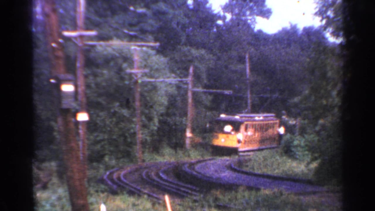Yellow trolley rounds the curve on tracks bordered by trees and utility poles.