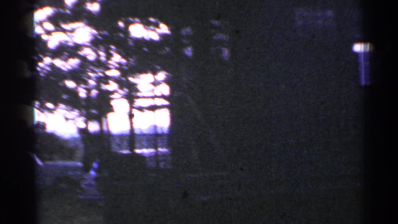 Dark 8mm frame with trees, a roadside area, and a pale sky near water or open distance.