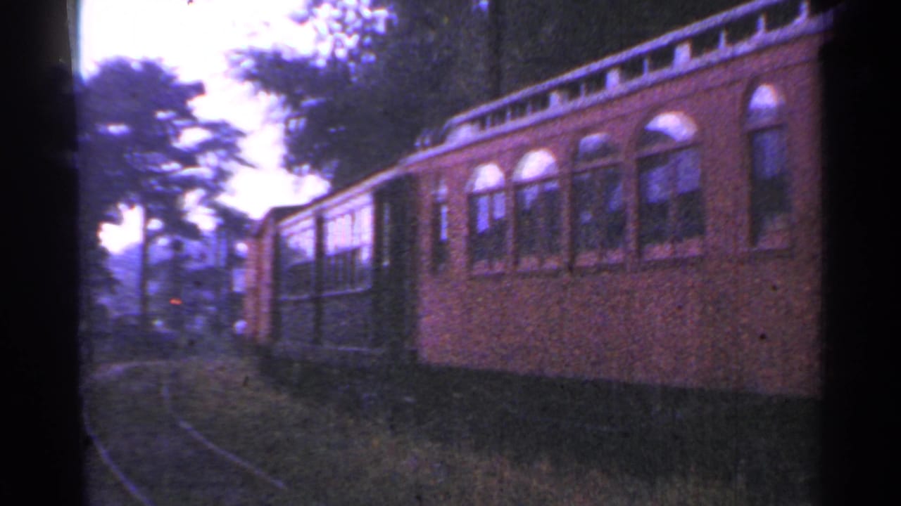 Passenger railcar with arched windows on tracks beside dense trees.
