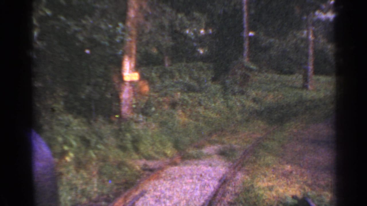 Connecticut home-movie frame from 1953 showing the rail path bending through a shaded wooded area.