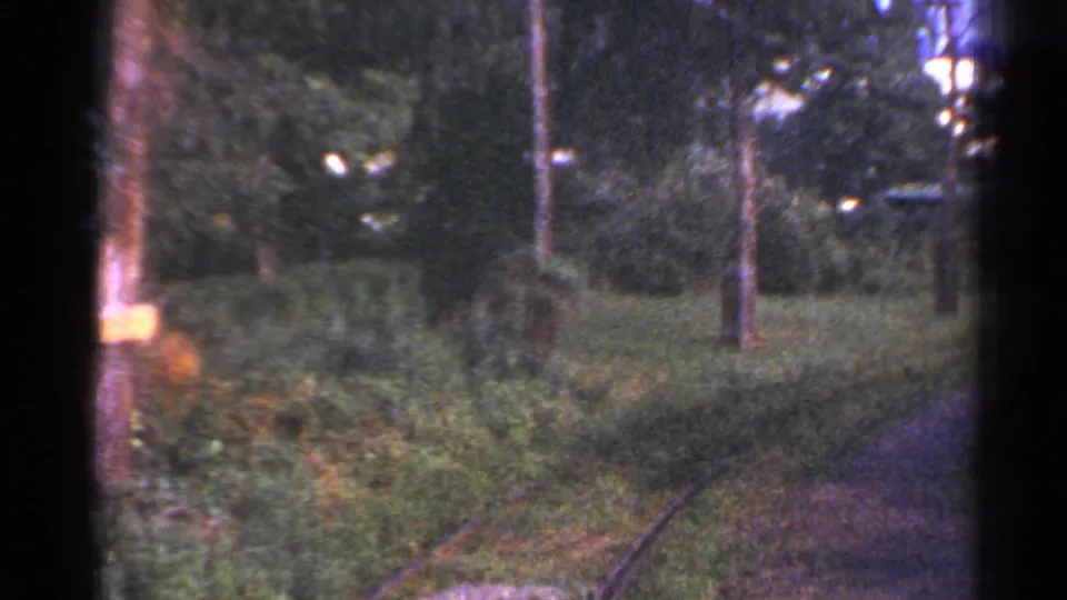 8mm Connecticut train-ride frame with trees, brush, and a partly visible rail curve along the wooded route.