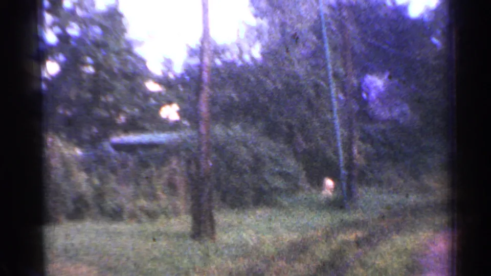 Final 1953 Connecticut frame looking into trees and brush from the train, with a small dark structure or rail element ahead.