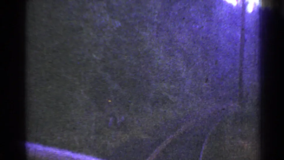 1953 Connecticut 8mm footage appears to show a dim roller coaster or ride track curving through dark trees.