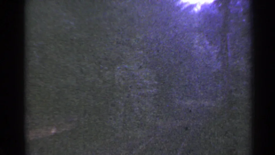 The 8mm frame shows mostly dark foliage and film texture, with a faint ride rail or track edge near the bottom.
