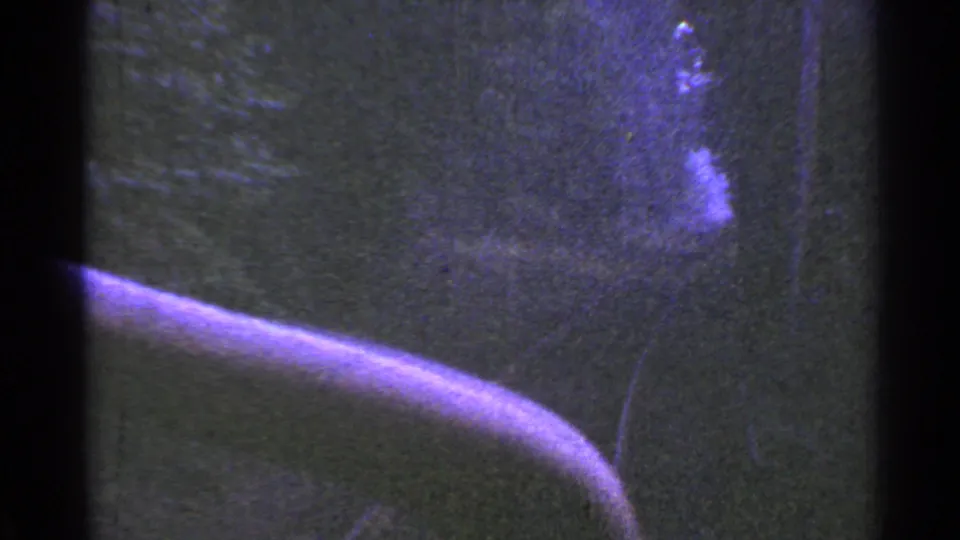 A curved rail or track glows purple in the foreground as the ride passes through a dark wooded setting.
