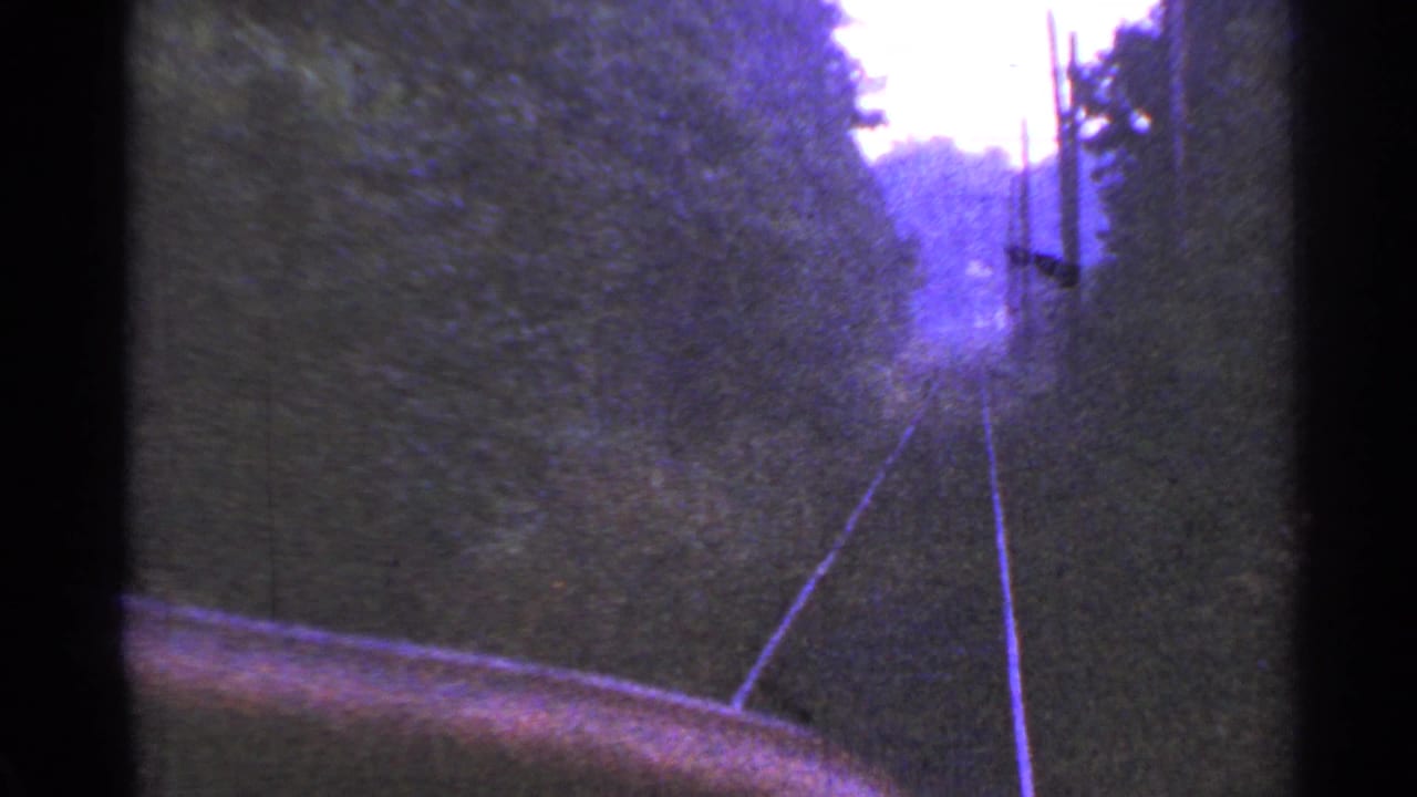 Curving rail tracks pass trees and utility poles.
