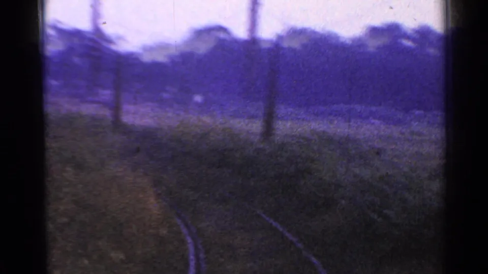 Rural Connecticut train view with blurred grassy foreground, pole line, rails, and dark trees under a bright sky.