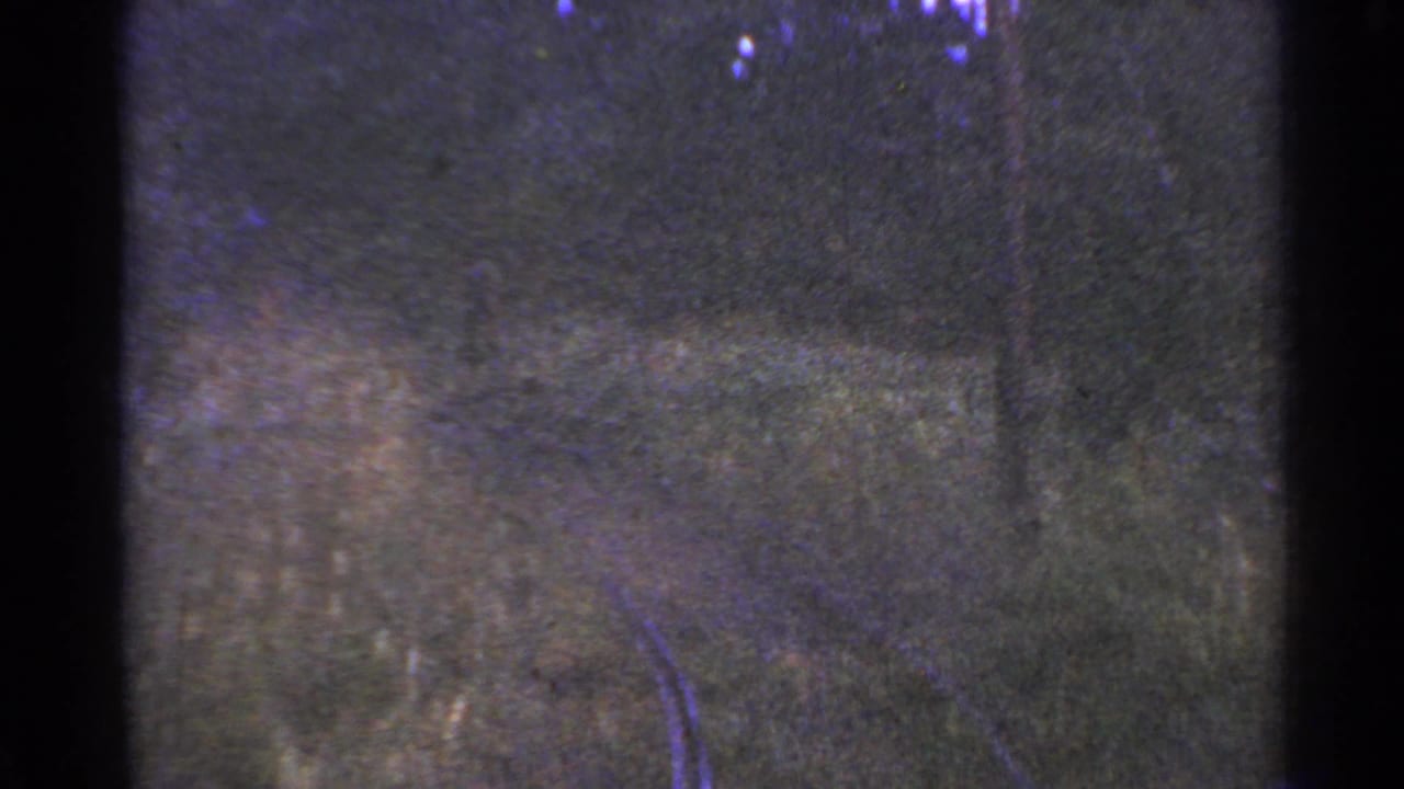 Railroad tracks continue through a wooded grassy corridor.