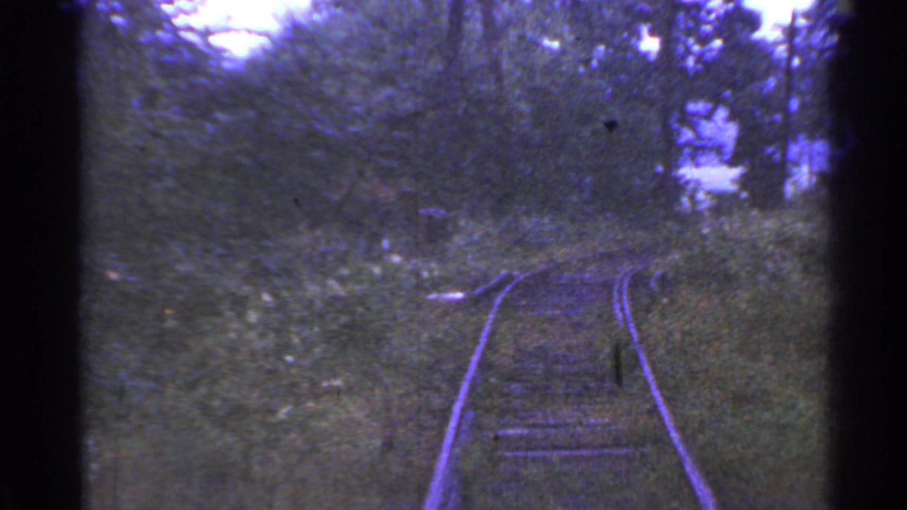 Forward-facing 8mm view of Connecticut rail tracks curving through trees and undergrowth, with soft focus and frame-edge shadow.