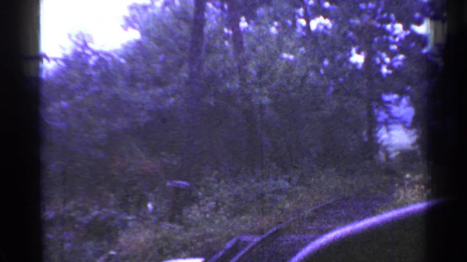 1953 Connecticut home-movie frame with rail track disappearing into shaded trees and bright foliage beyond.