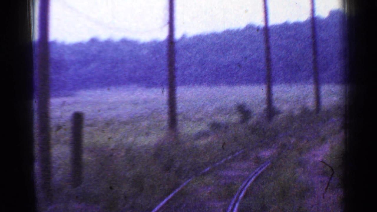 Railroad tracks curve beside weeds and tall poles with wooded hills in the distance.