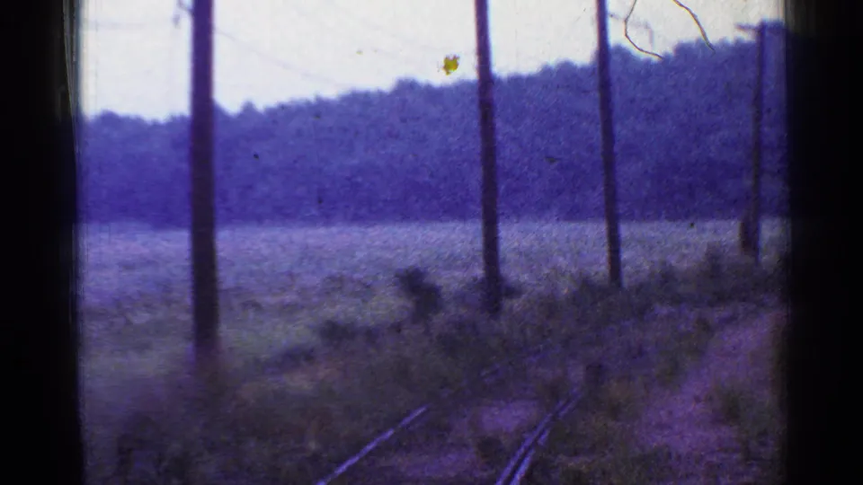 A soft 1953 Connecticut rail view shows poles, field grass, distant woods, and tracks partly visible below.