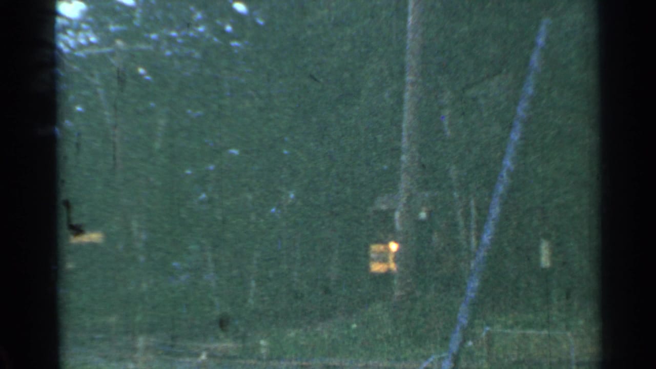 Wooded track area with a small yellow train partly visible in the distance.