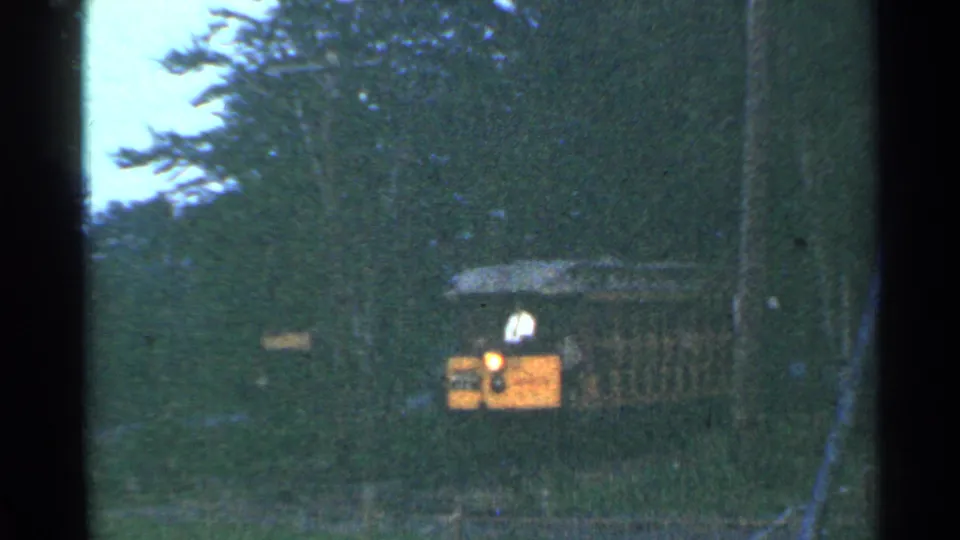 The sightseeing train is clearer in the frame, with an open-air car and at least one person aboard visible through the trees.