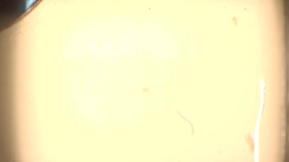 Overexposed 8mm transition or leader-like frame with pale yellow cast, film edge, dust, and scratches visible.