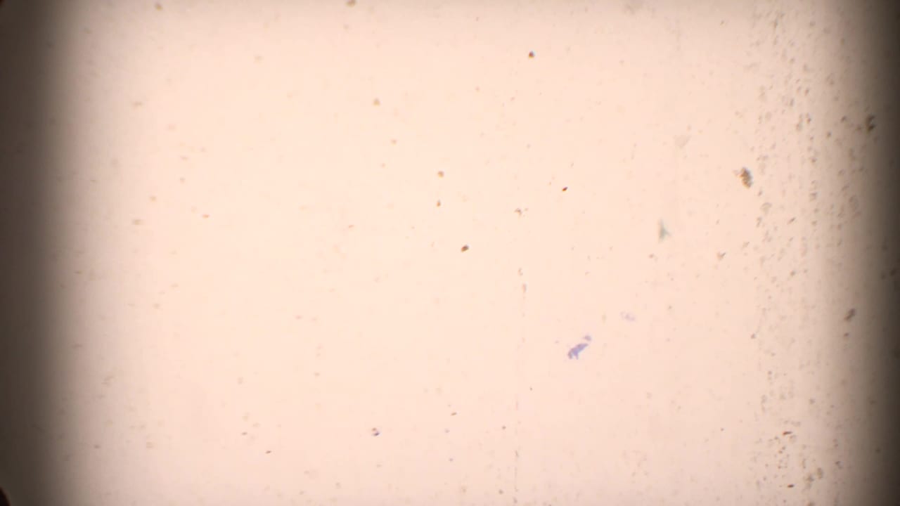 Bright overexposed film frame with dust specks and dark vertical edge shading.