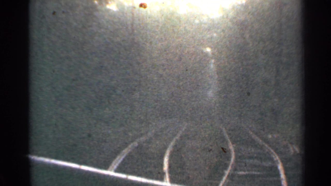 1953 Connecticut train POV with rails bending through trees, strong top-edge light, and visible 8mm film texture.
