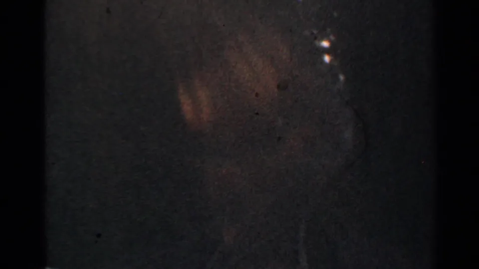 1953 Connecticut 8mm frame with a dim forward train view, faint rails, wooded surroundings, and pronounced film grain.