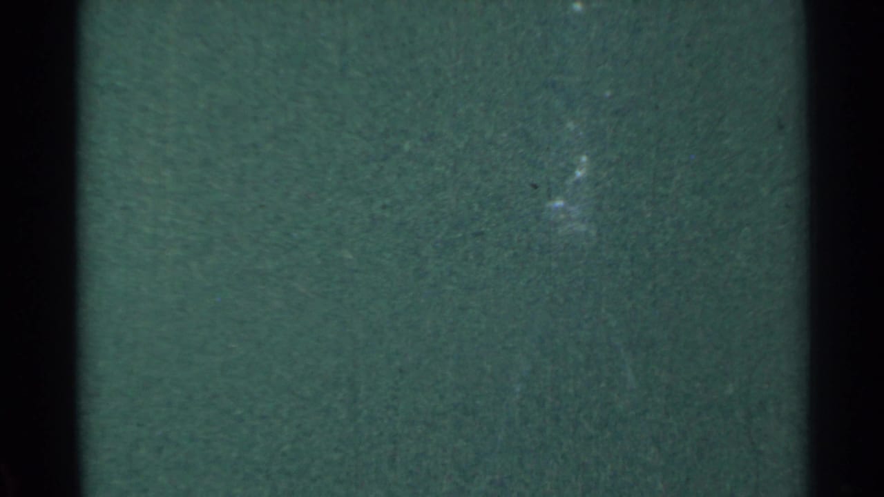 Dark green 8mm frame with vertical black borders, grain, and faint bright foliage highlights.