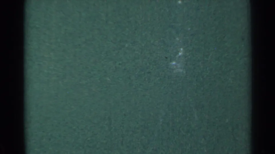 1953 Connecticut home-movie frame with dark green film cast, vertical frame edge, grain, and faint highlights in a wooded scene.