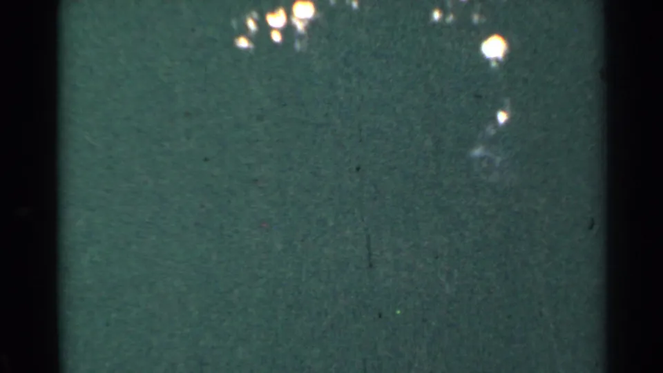 1953 Connecticut 8mm frame showing a dark vertical divider, green-tinted wooded darkness, grain, scratches, and bright foliage glare.